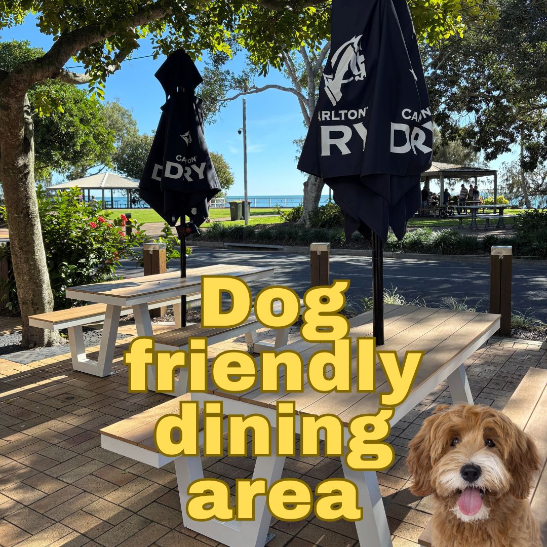 General Socials BH (3)